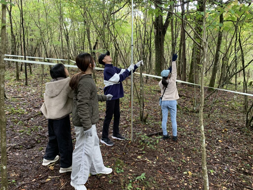 Image-11